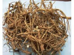 柴胡種植技術|如何提高柴胡的產(chǎn)量|柴胡種植的管理|柴胡病蟲害的處理方法|柴胡種植的柴胡種植的采集和加工|柴胡的生活習性